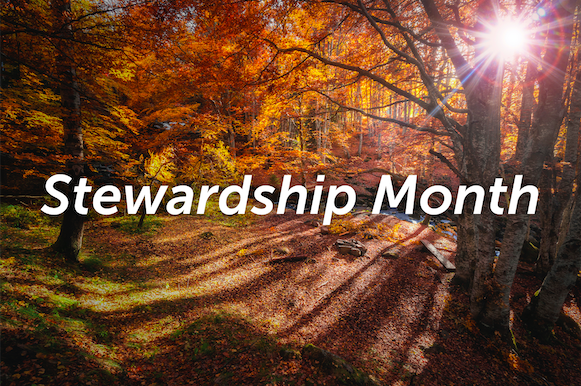 Stewardship Month